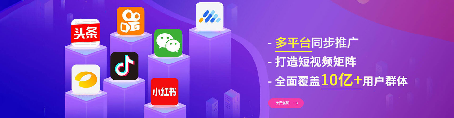 大树sem竞价
