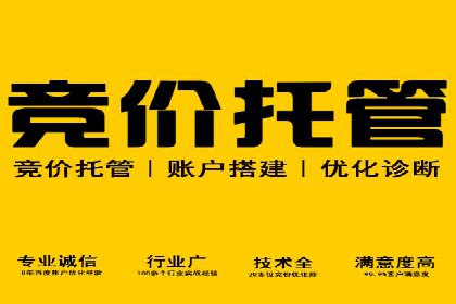 百度运营推广全攻略：成功案例深度剖析
